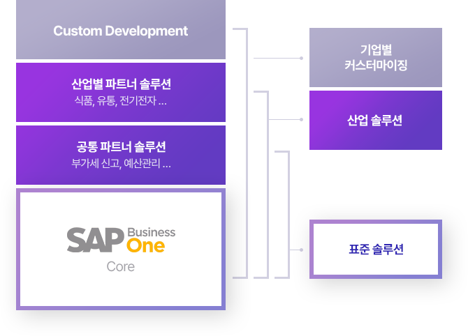 AP Business One core + 공통 파트너 솔루션(부가세 신고, 예산관리)+ 산업별 파트너 솔루션(식품, 유통, 전기전자...) + Custom Development
